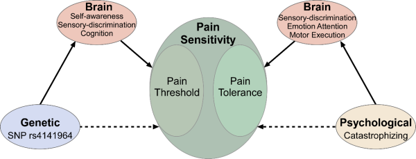 W020231115319793331151